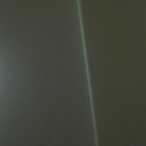 Meet your Posher, Sammie